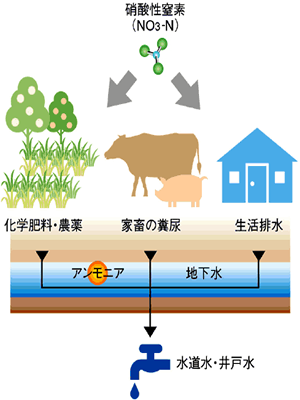 外壁塗装イメージ